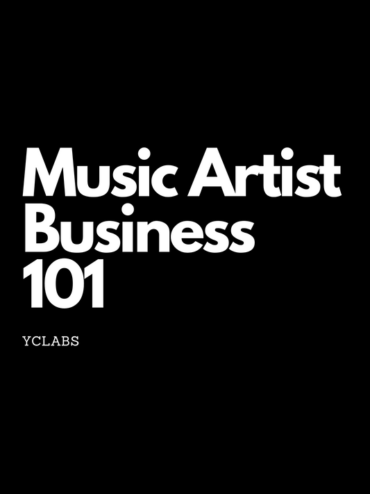 Music Artist Business 101